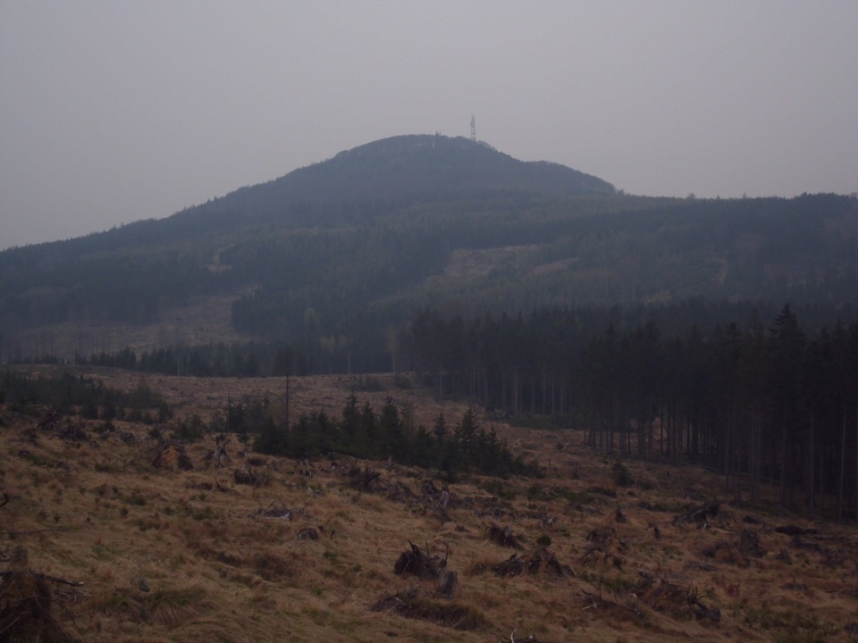 Blick auf den Tannenberg
